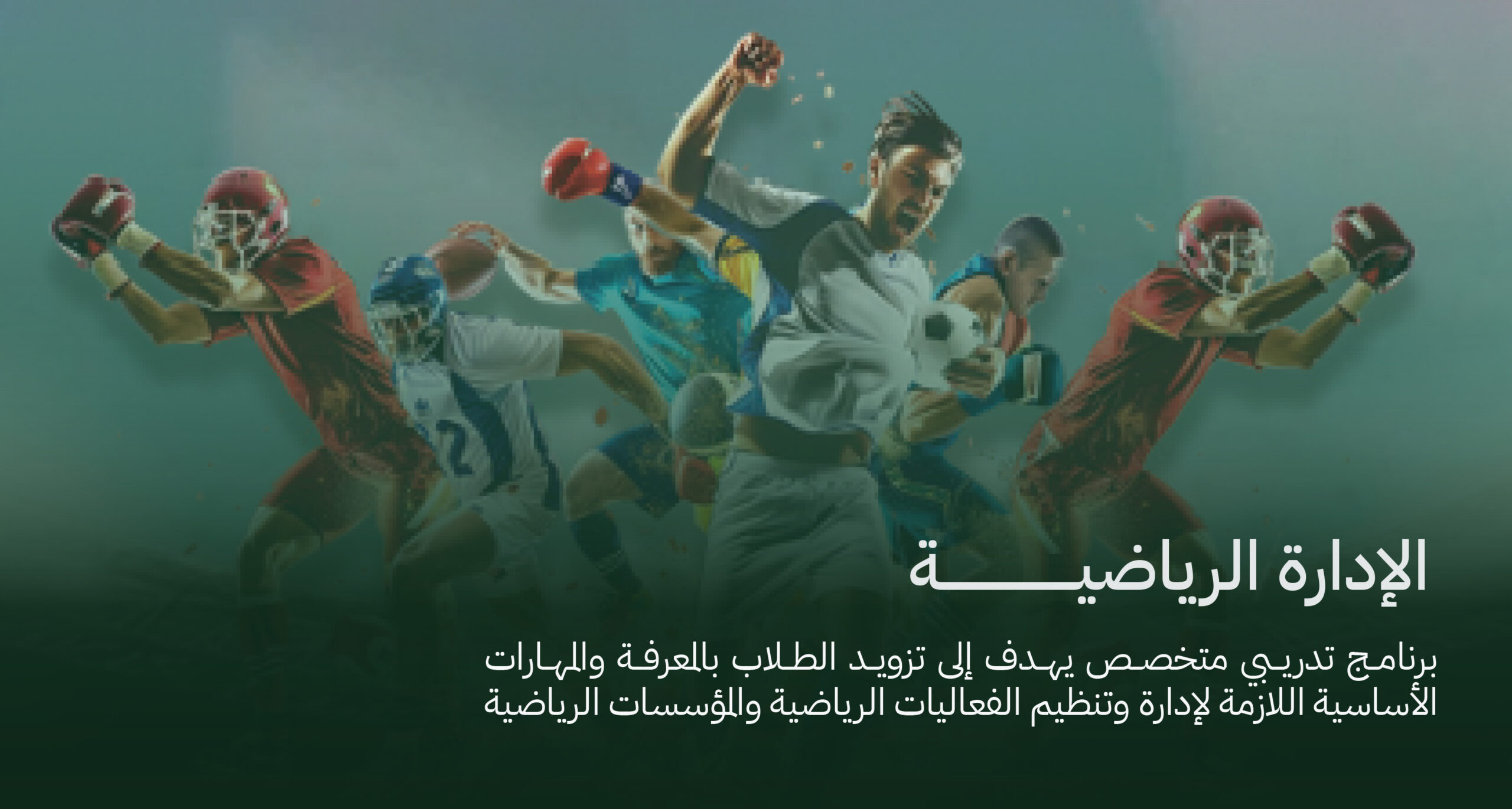 واجهة الموقع 1-6.jpg
